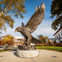 The Red Hawk statue welcomes app and visitors to campus.