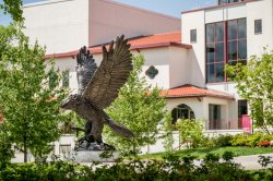 Photo of Hawk statue in front of Kasser Theater.