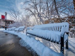 Three benches along campus pathway covered with snow.